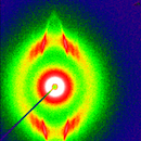 Workshop - Scattering and Dynamics of Flowing Soft Material